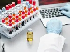 thailand cannabis กัญชาใ