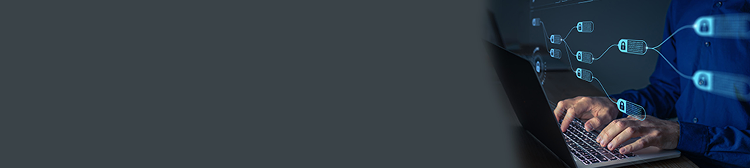 Background for IT Policy