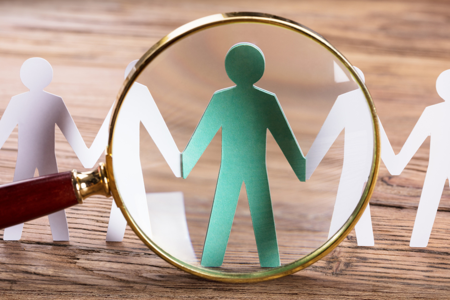 Employment Background Screening